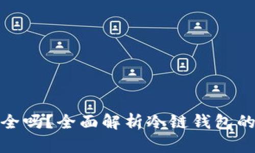比特币冷链钱包安全吗？全面解析冷链钱包的安全性与投资风险