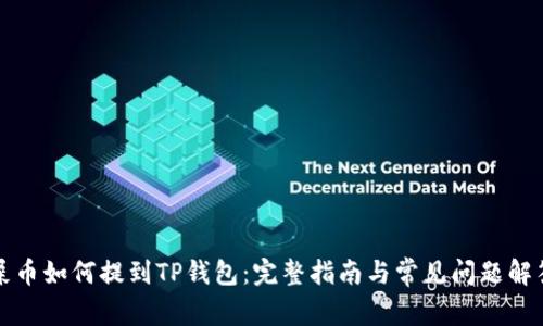 屎币如何提到TP钱包：完整指南与常见问题解答