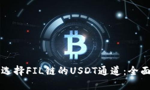 如何选择FIL链的USDT通道：全面指南