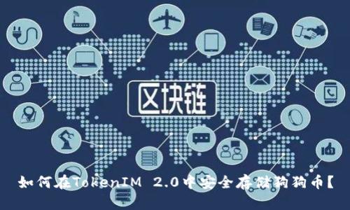 如何在TokenIM 2.0中安全存储狗狗币？