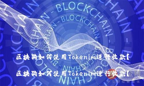 区块狗如何使用Tokenim进行收款？

区块狗如何使用Tokenim进行收款？