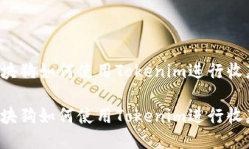 区块狗如何使用Tokenim进行收款？

区块狗如何使用Tokenim进行收款？