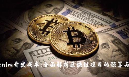 理解Tokenim开发成本：全面解析区块链项目的预算与资源配置