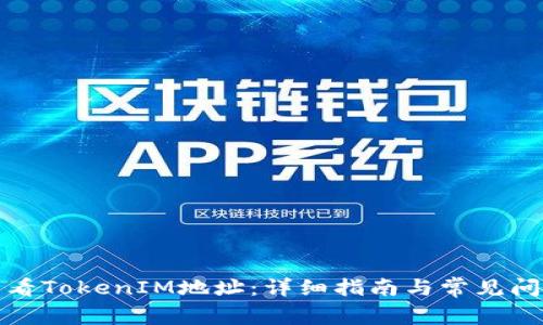 如何查看TokenIM地址：详细指南与常见问题解答