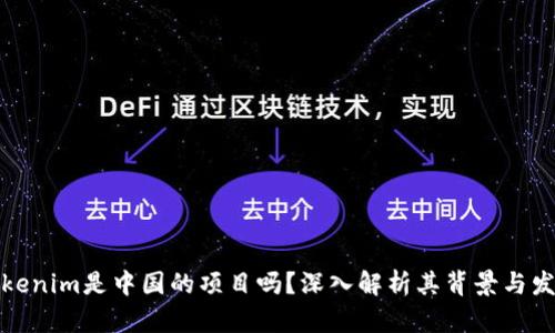 Tokenim是中国的项目吗？深入解析其背景与发展