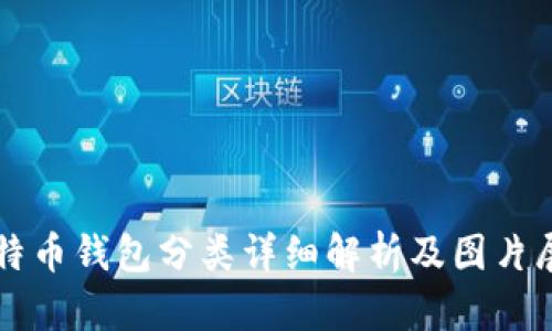比特币钱包分类详细解析及图片展示
