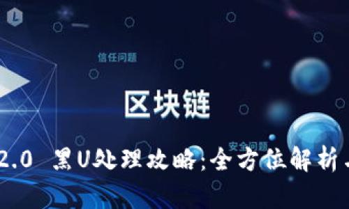 Tokenim 2.0 黑U处理攻略：全方位解析与解决方案