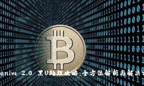 Tokenim 2.0 黑U处理攻略：全方位解析与解决方案