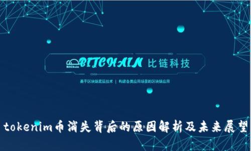 tokenim币消失背后的原因解析及未来展望
