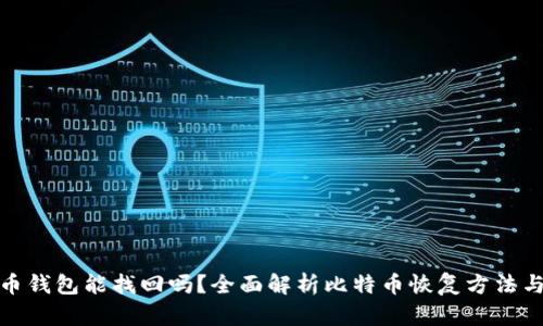比特币钱包能找回吗？全面解析比特币恢复方法与风险