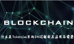 什么是Tokenim里的SNS？解析其应用及前景