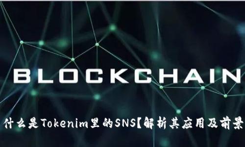 什么是Tokenim里的SNS？解析其应用及前景