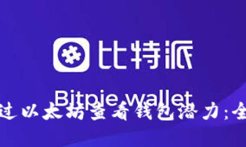 如何通过以太坊查看钱包潜力：全面指南