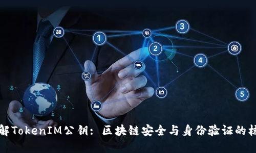 理解TokenIM公钥: 区块链安全与身份验证的核心