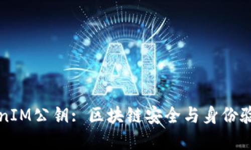 理解TokenIM公钥: 区块链安全与身份验证的核心