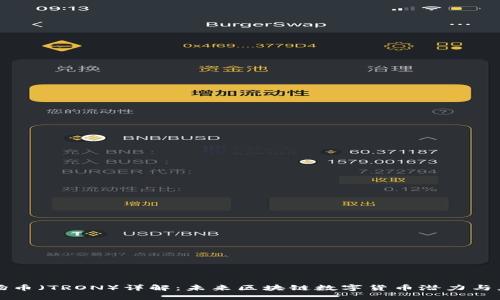 波场币（TRON）详解：未来区块链数字货币潜力与应用