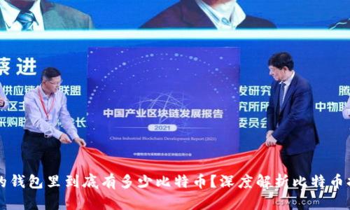 库神的钱包里到底有多少比特币？深度解析比特币持有量