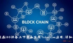 如何在iOS设备上下载和使用Tokenim应用：详细指南