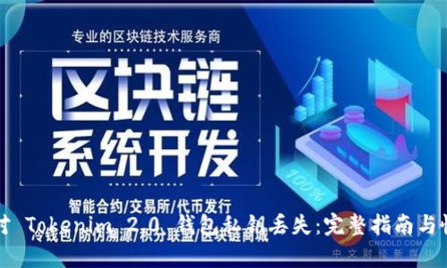 如何应对 Tokenim 2.0 钱包私钥丢失：完整指南与恢复方案