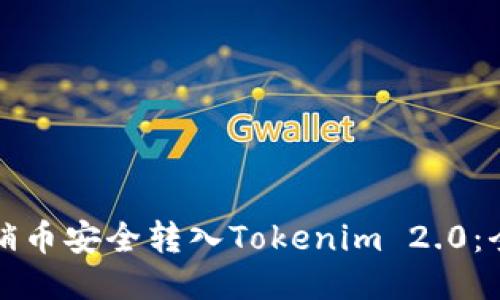 如何将传销币安全转入Tokenim 2.0：全方位指南