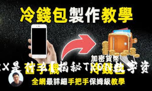 冷钱包中的TRX是什么？揭秘TRON数字资产及其安全性