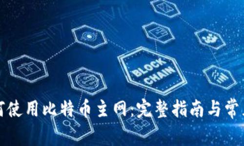 TP钱包如何使用比特币主网：完整指南与常见问题解答