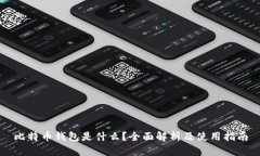 比特币钱包是什么？全面解析及使用指南