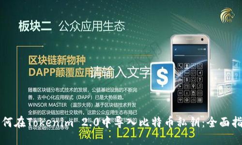 如何在Tokenim 2.0中导入比特币私钥：全面指南