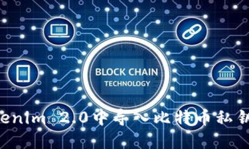 如何在Tokenim 2.0中导入比特币私钥：全面指南