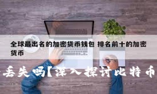 比特币钱包的钱会丢失吗？深入探讨比特币安全性及保护策略