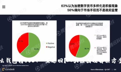 为什么钱包转USDT一直退回？八大原因及解决方案详解