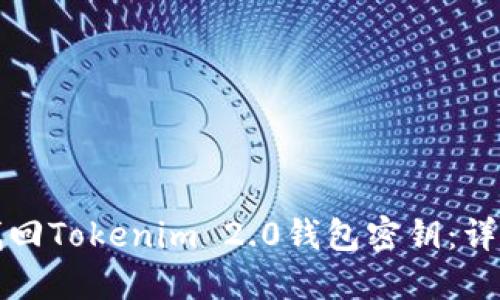 如何找回Tokenim 2.0钱包密钥：详细指南