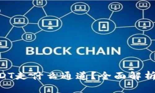 TokenimUSDT走什么通道？全面解析与投资策略