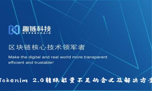 Tokenim 2.0转账能量不足的含义及解决方案