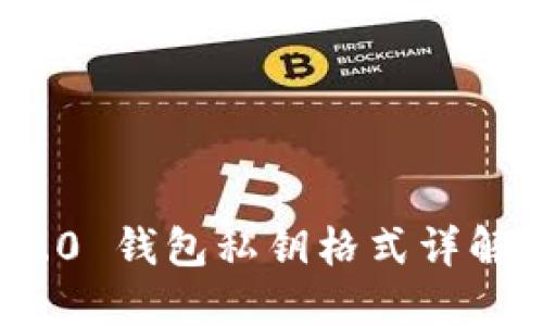 TokenIM 2.0 钱包私钥格式详解及使用指南