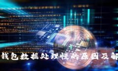 比特币钱包数据处理慢的