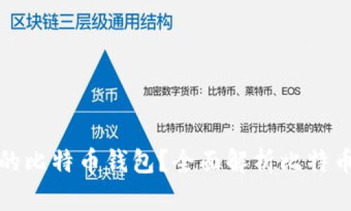 如何选择适合你的比特币钱包？全面解析比特币钱包与交易安全