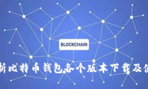 全面解析比特币钱包各个版本下载及使用指南