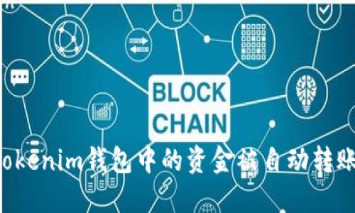 如何防止Tokenim钱包中的资金被自动转账：安全指南