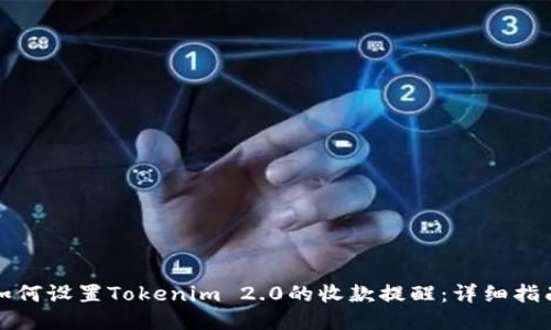 如何设置Tokenim 2.0的收款提醒：详细指南