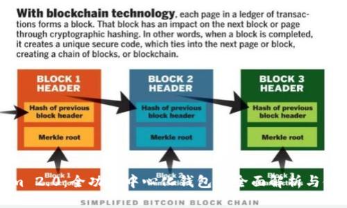 Tokenim 2.0：全功能中心化钱包的全面解析与使用指南
