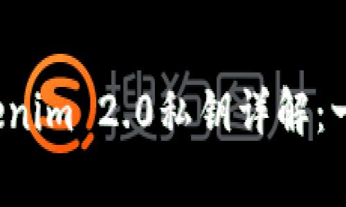 如何导入Tokenim 2.0私钥详解：一步步 guía