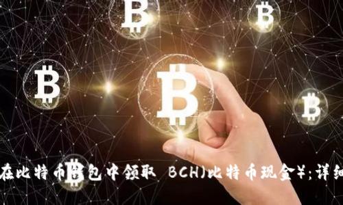 如何在比特币钱包中领取 BCH（比特币现金）：详细教程