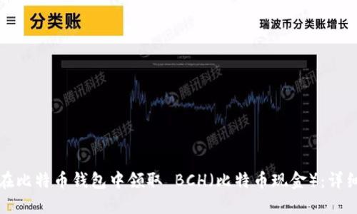 如何在比特币钱包中领取 BCH（比特币现金）：详细教程