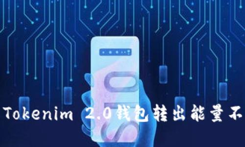 如何解决Tokenim 2.0钱包转出能量不足的问题