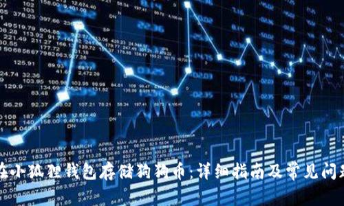 如何在小狐狸钱包存储狗狗币：详细指南及常见问题解答