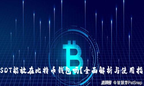 USDT能放在比特币钱包吗？全面解析与使用指南