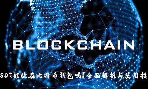 USDT能放在比特币钱包吗？全面解析与使用指南