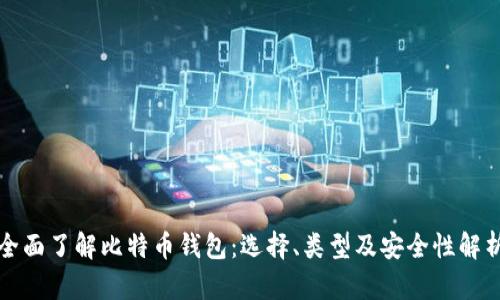 全面了解比特币钱包：选择、类型及安全性解析