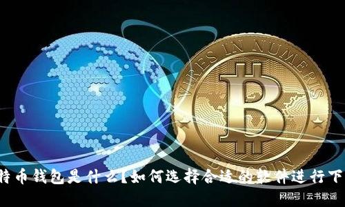 比特币钱包是什么？如何选择合适的软件进行下载？